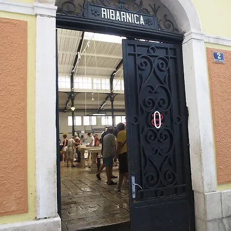 Split City Cosy Apartment