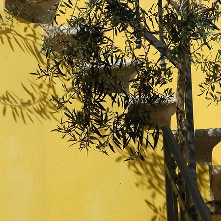 Bene 21 Appartement Split